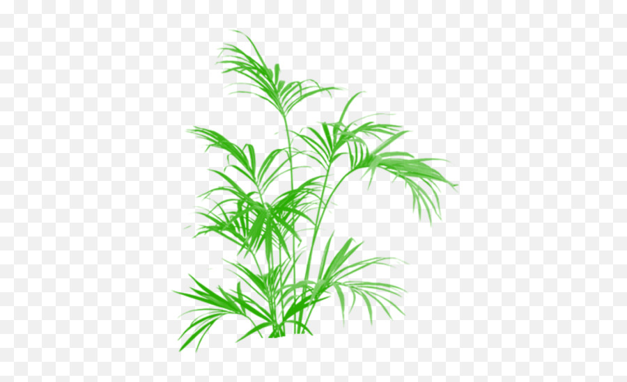 Kentia Palm Artificial 5 Ft Uk - Palmera Palmito De Interior Cuidados Emoji,Bamboo Emoji