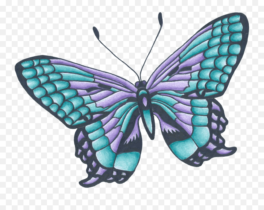 Butterfly Drawing To Color - Butterfly Drawing With Color Emoji,Free Butterfly Emoji