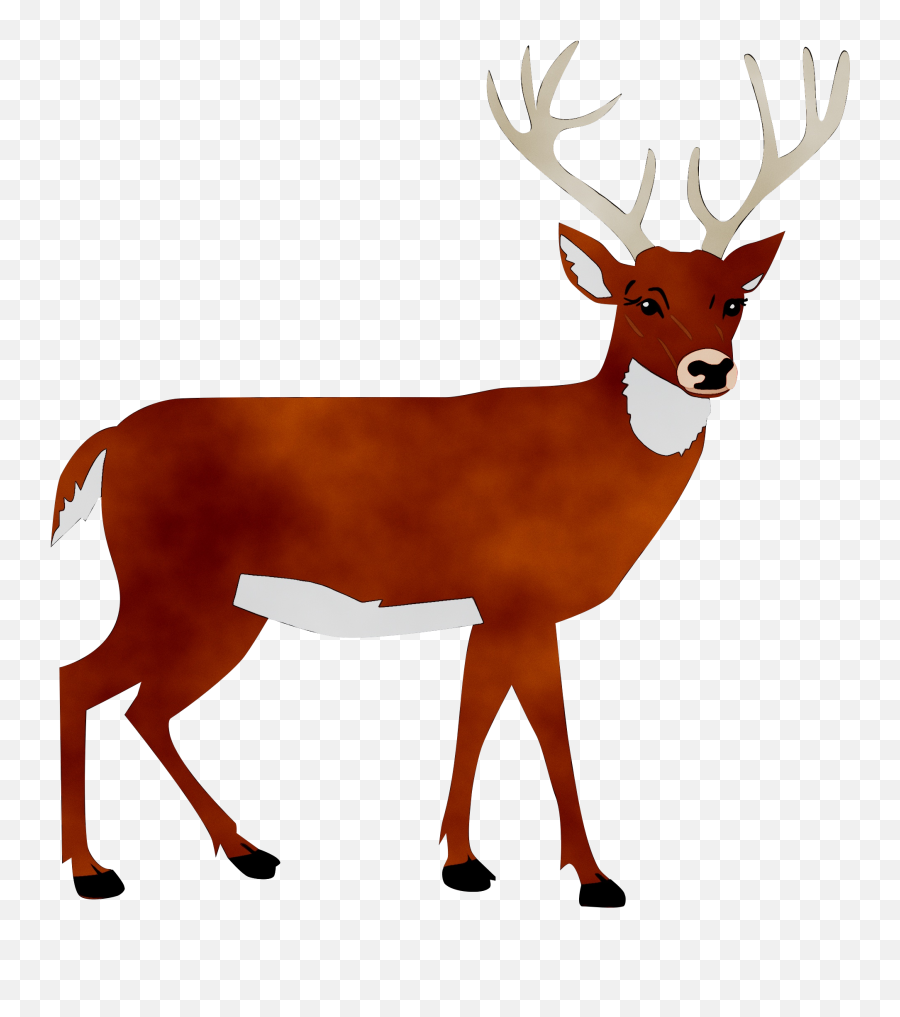 White - Deer Silhouette Transparent Background Emoji,Whitetail Deer Emoji