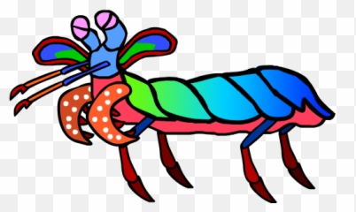 Mantis Shrimp Clipart - Full Size Clipart 2975750 Mantis Shrimp Cartoon Emoji,Shrimp Emoji