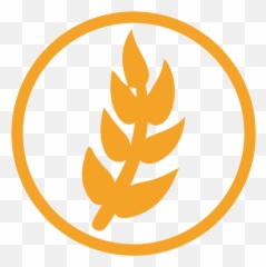 Wheat Allergy Amber Icon - Wheat Allergen Symbol Emoji,Wheat Emoji