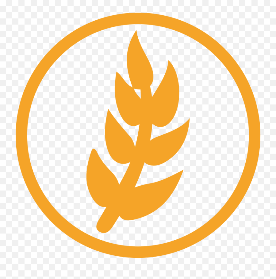 Wheat Allergy Amber Icon - Wheat Allergen Symbol Emoji,Wheat Emoji
