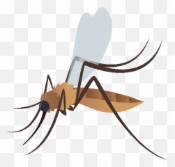 Mosquito Nature Gif - Parasitism Emoji,Mosquito Emoji
