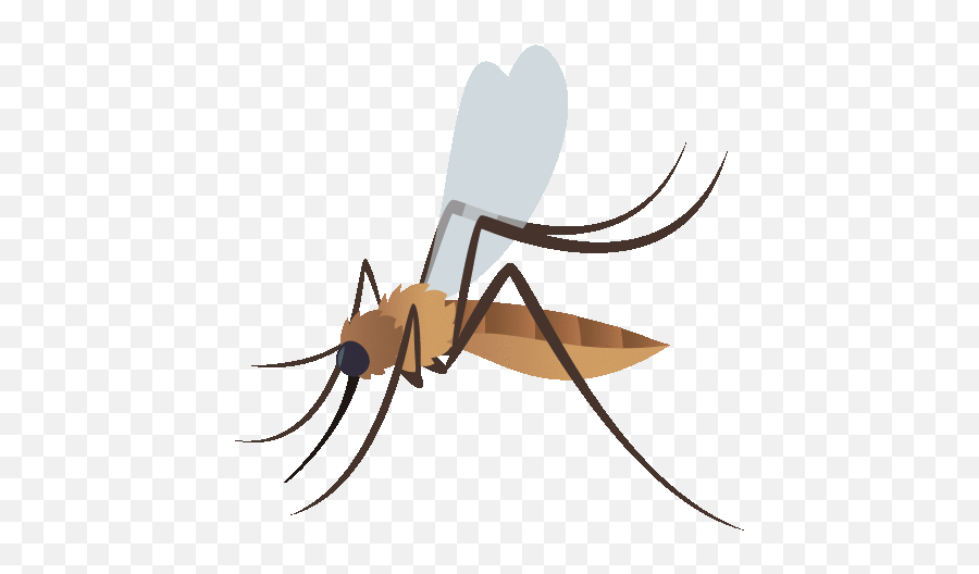 Mosquito Nature Gif - Parasitism Emoji,Mosquito Emoji