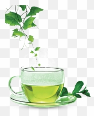 Download Green Tea Clipart Hq Png Image - Green Tea Png Hd Emoji,Green Tea Emoji