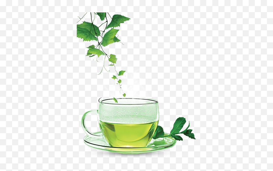 Download Green Tea Clipart Hq Png Image - Green Tea Png Hd Emoji,Green Tea Emoji