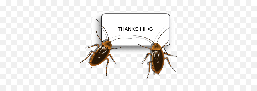 Cockroach Emoji - Cockroaches Thank You Gif,Roach Emoji