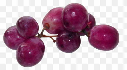Grapes Food Aesthetic Purple Fruit - Aesthetic Fruits Png Emoji,Grape Emoji
