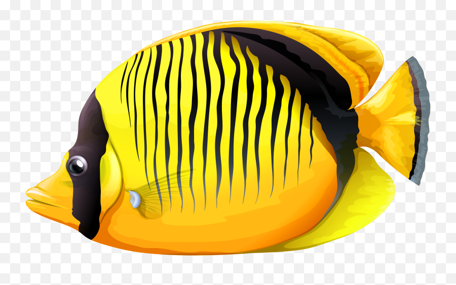 Tropical Fish Transparent Png Clipart - Tropical Fish Fish Transparent Background Emoji,Tropical Fish Emoji