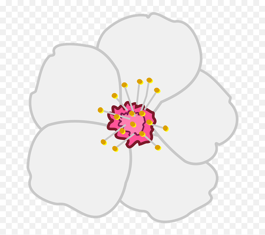 Free Close - Almond Blossom Flower Clipart Emoji,Japanese Emoticons Flower In Hair