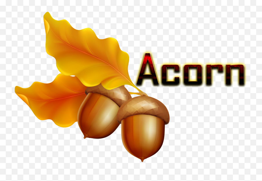 Acorn Png Image - Transparent Background Clip Art Fall Emoji,Acorn Emoji