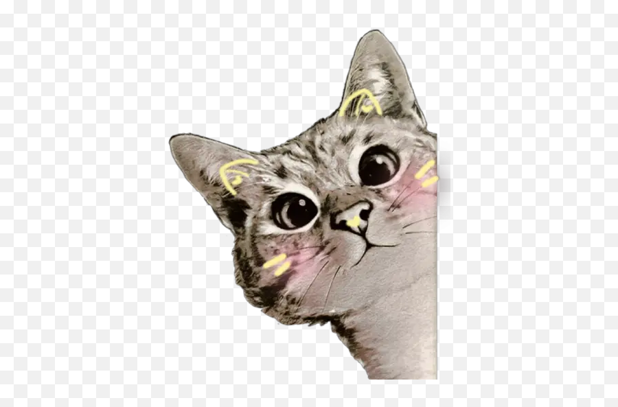 Cute Cats 2 Stickers Per Whatsapp - Transparent Cat Gifs Emoji,Cute Cat Emojis