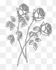 mq white black roses flower flowers Sticker by Marras - Floral Emoji
