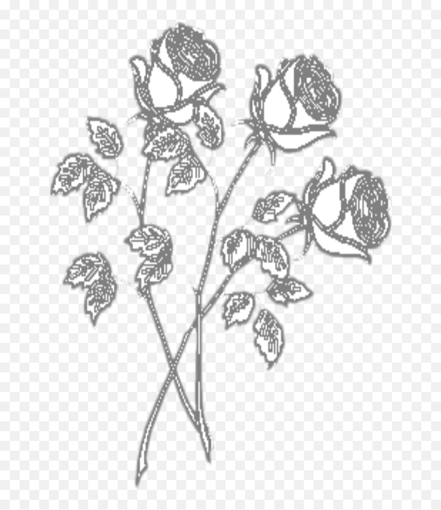 Mq White Black Roses Flower Flowers Sticker By Marras - Floral Emoji,Black Flower Emoji