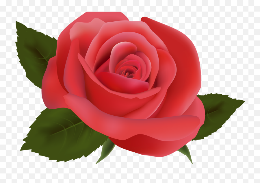 Red Rose Png Image Clipart Deseos De Migdalia Pinterest - Clipart Flower Design Set Emoji,Red Rose Emoji