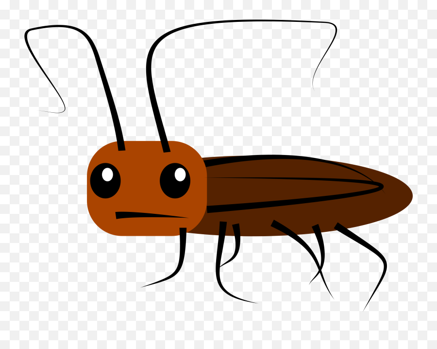 Roach Drawing Simple Picture - Cartoon Cockroach Png Emoji,Roach Emoji