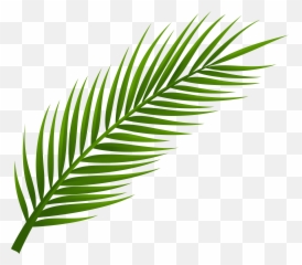 Tropical Leaves Clipart Png Emoji,Leaf Emoji Transparent