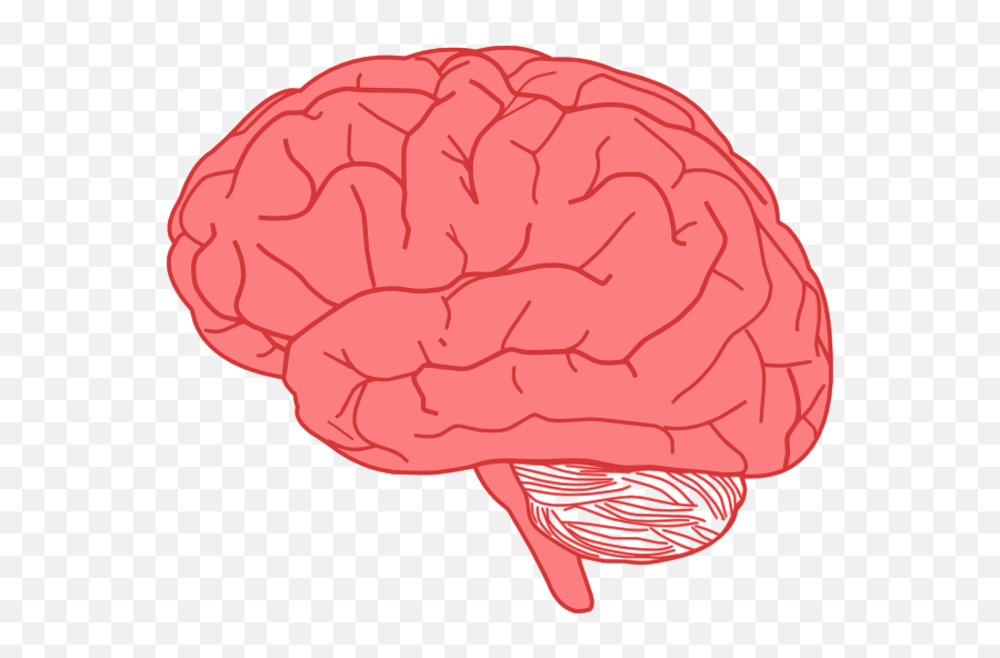 4570book - Brain Clipart Png Emoji,Brain Explosion Emoji