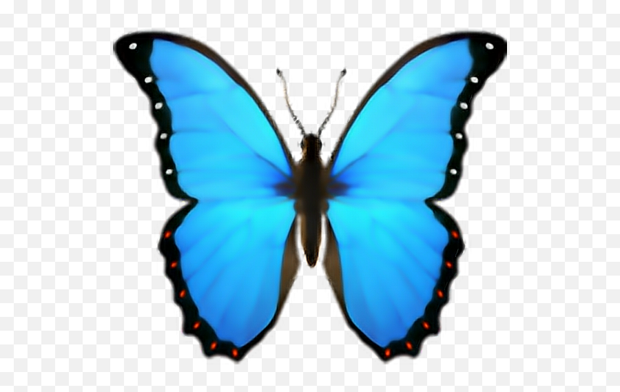 Butterfly Emoji Domain Iphone Ios - Blauer Schmetterling Emoji,Butterfly Emoji