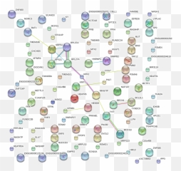 ISMARA results EHFp2 - Circle Emoji