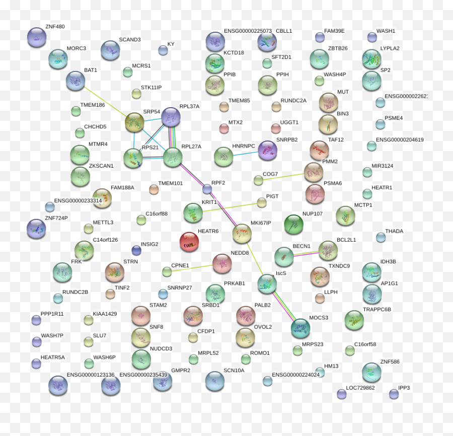 Ismara Results Ehfp2 - Circle Emoji,Ovo Emoticon