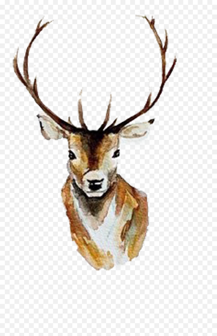 Watercolor Deer Antlers Transparent - Deer Watercolor Clipart Emoji,Deer Hunting Emoji