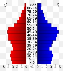 Usa Santa Fe County New Mexico - Population Pyramid For Emoji