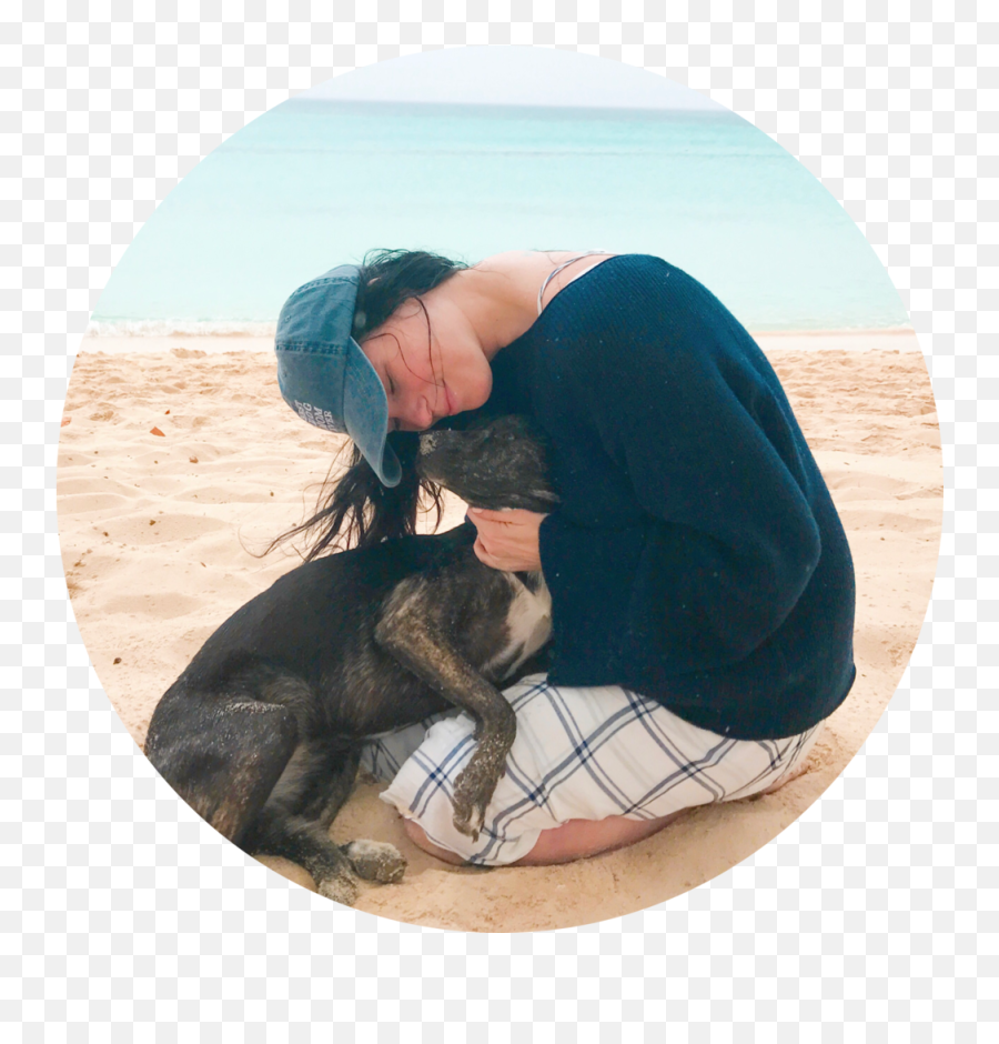 The Story Of Papiandrumba U2014 Galu0027s Best Friend - Dog Mom Site Vacation Emoji,Laying Down Crying Emoji