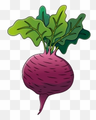 Beetroot Clipart - Image Of Emoji