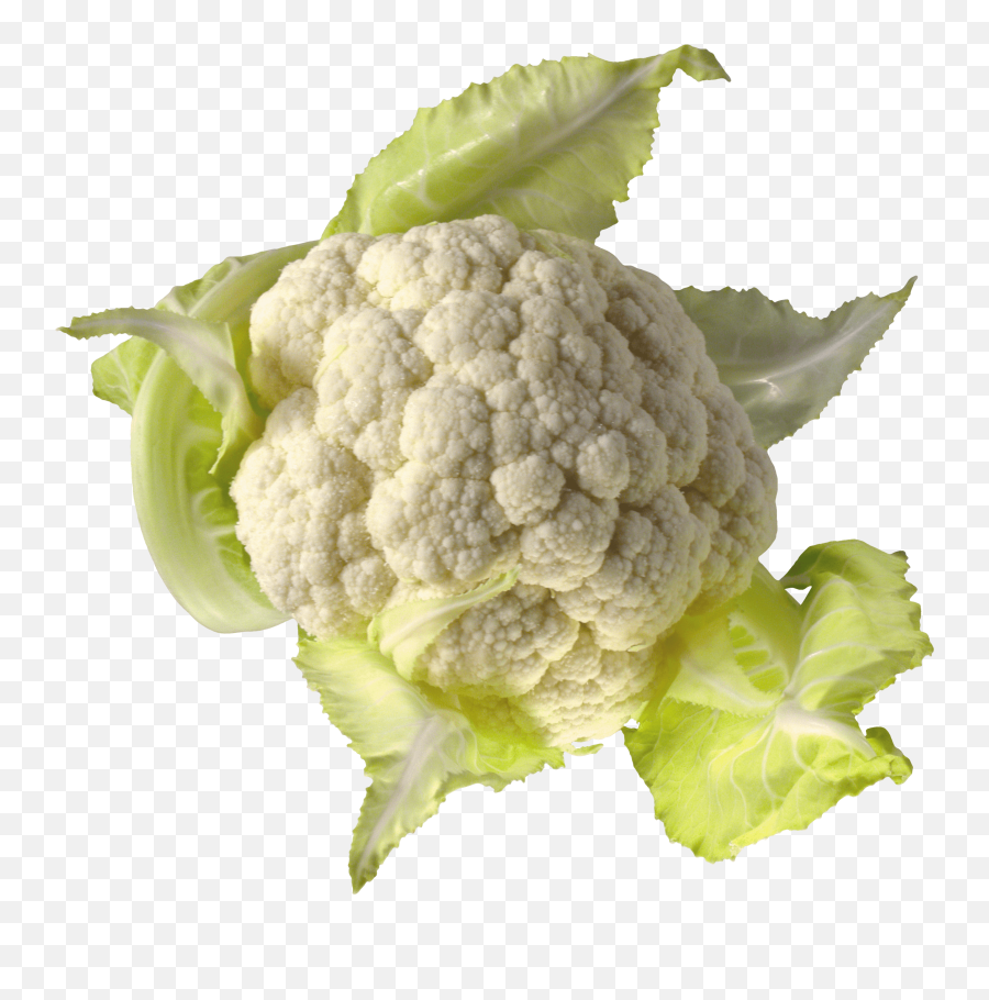 Download Cauliflower Png Image Hq Png - Transparent Cauliflower Clip Art Emoji,Cauliflower Emoji