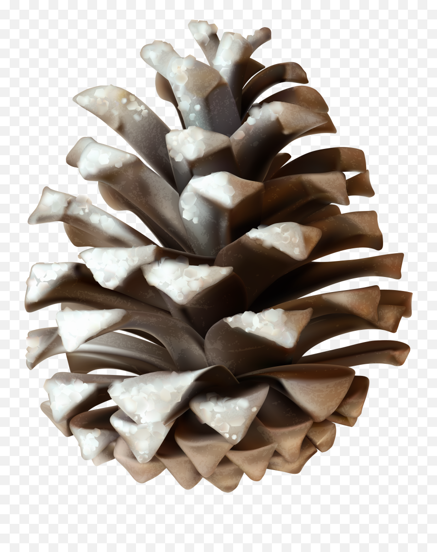 Pinecone Png Download Free Clip Art - Winter Pine Cones Clip Art Emoji,Pinecone Emoji