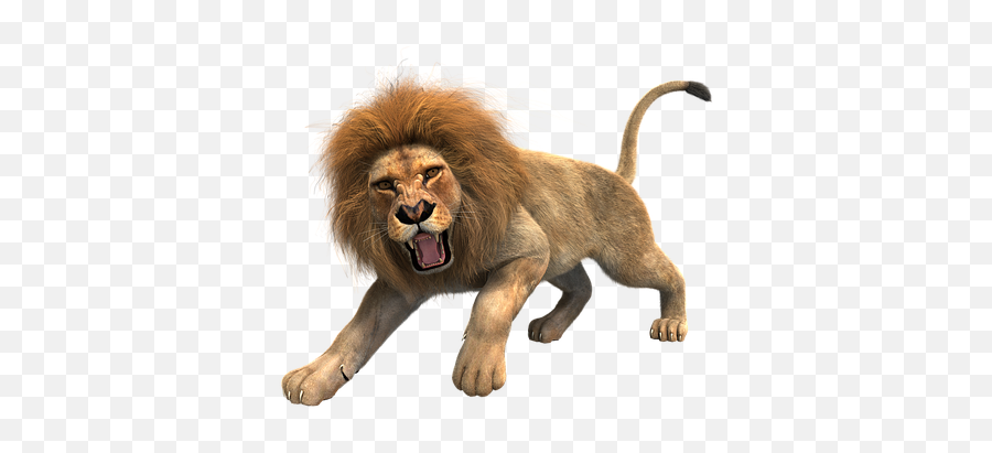 200 Free Tooth U0026 Dentist Illustrations - Pixabay Roaring Lion Transparent Background Emoji,Lion Emoticons