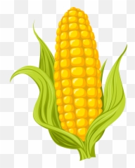 Maize Drawing Photography - Corn HD Png Download Icon Emoji