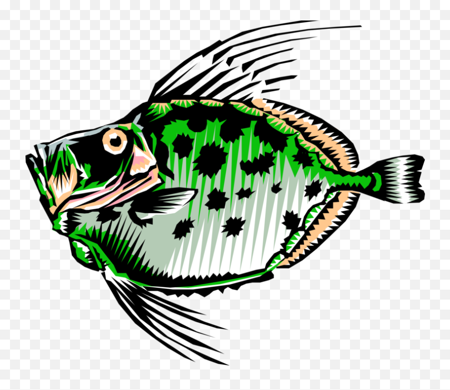 Vector Illustration Of Buck Dory Fish - Clip Art Emoji,Dory Fish Emoji