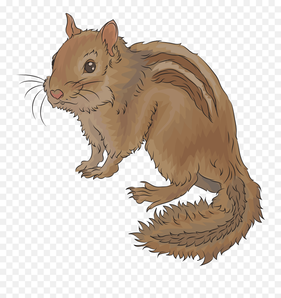 Chipmunk Clipart - Animal Figure Emoji,Squirrel Emoji