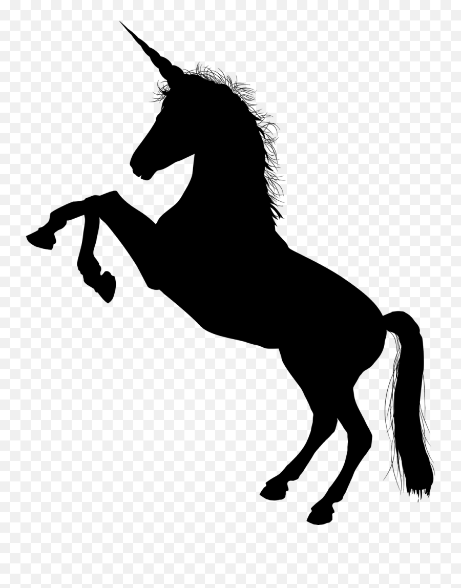Black Unicorn Horn Horse Equine - Shadow Of A Unicorn Emoji,Unicorn Emoji Cake