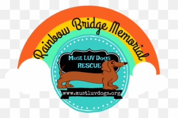 Rainbow Bridge Mld Wall - Bright Future Emoji,Rainbow Emoji On Facebook