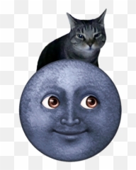 The Beggining Steemit - Black Cat Emoji