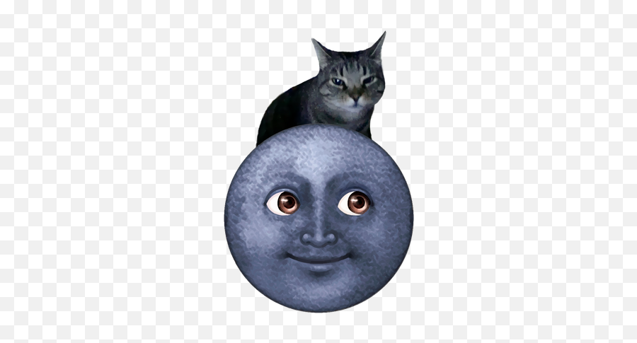 The Beggining Steemit - Black Cat Emoji,Grey Moon Emoji