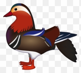 Emoji U2013 The Official Brand Mandarin Duck - Duck,Bird Emoji