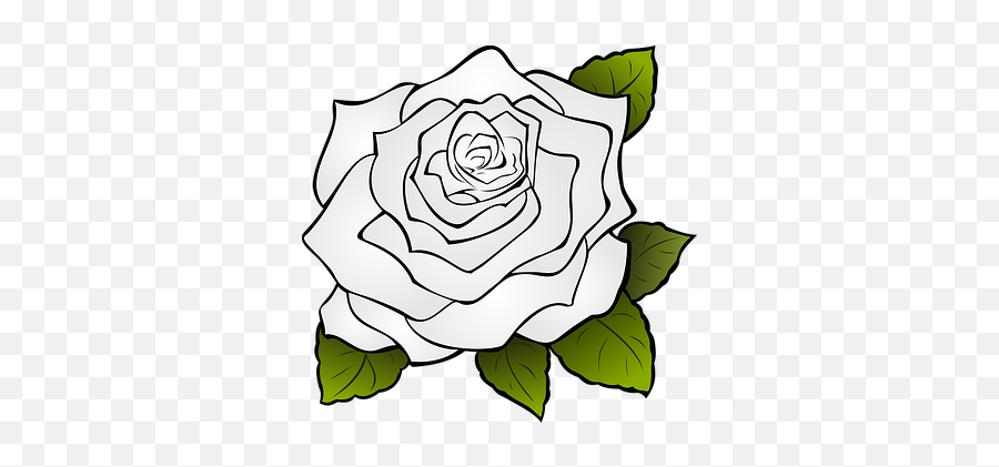 300 Free Rosa U0026 Rose Illustrations - Pixabay Transparent Drawing Of A Rose Emoji,Roses Emoticon