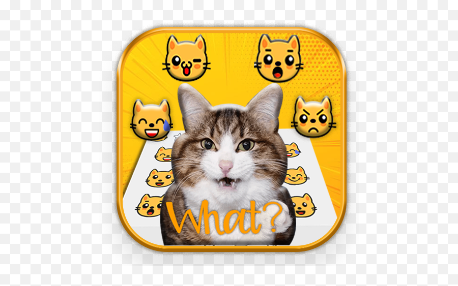 Crazy Cats Emoji Stickers - Cat Grabs Treat,Crazy Emoji