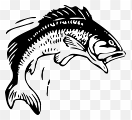 Jumping Fish Vector Clipart Image - Emoji