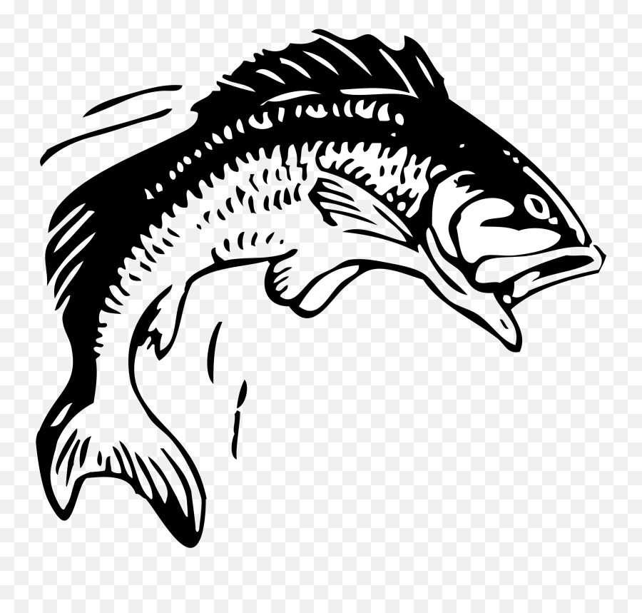 Jumping Fish Vector Clipart Image - Jumping Fish Clipart Emoji,Fish And Horse Emoji