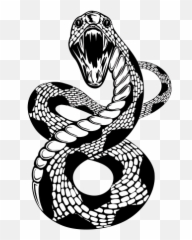 Vector Snake Clipart Png - Illustration Emoji