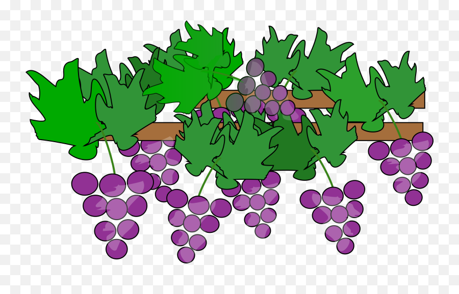 Clipart Grapes Tree - Grape Plant Clipart Emoji,Grape Emoji