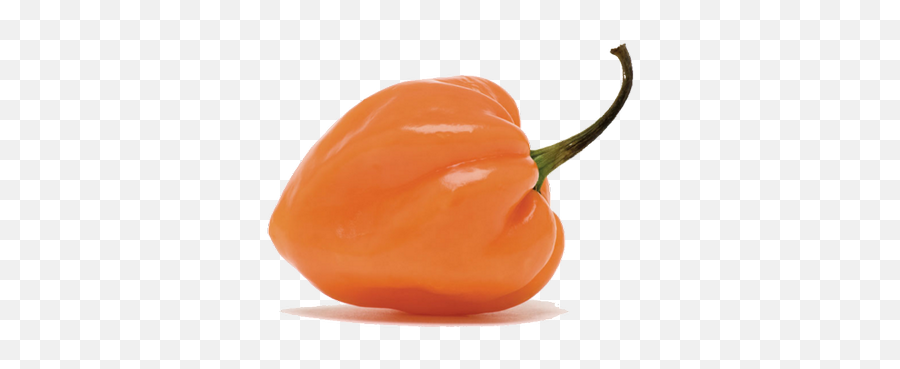 Habanero Apps Habaneroapps Twitter - Habanero Chili Emoji,Chili Emoji