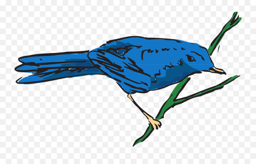 Free Blue Feathers Blue Vectors - Portable Network Graphics Emoji,Bird Emoticon