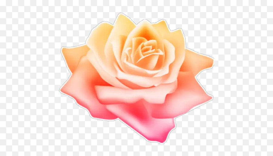 Flowers 2 Stickers For Whatsapp - Hybrid Tea Rose Emoji,Emoji Roses