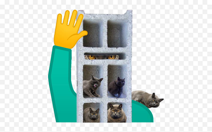 Sheu0027s Under 17 Cinderblock - Safety Glove Emoji,Sassy Hand Emoji